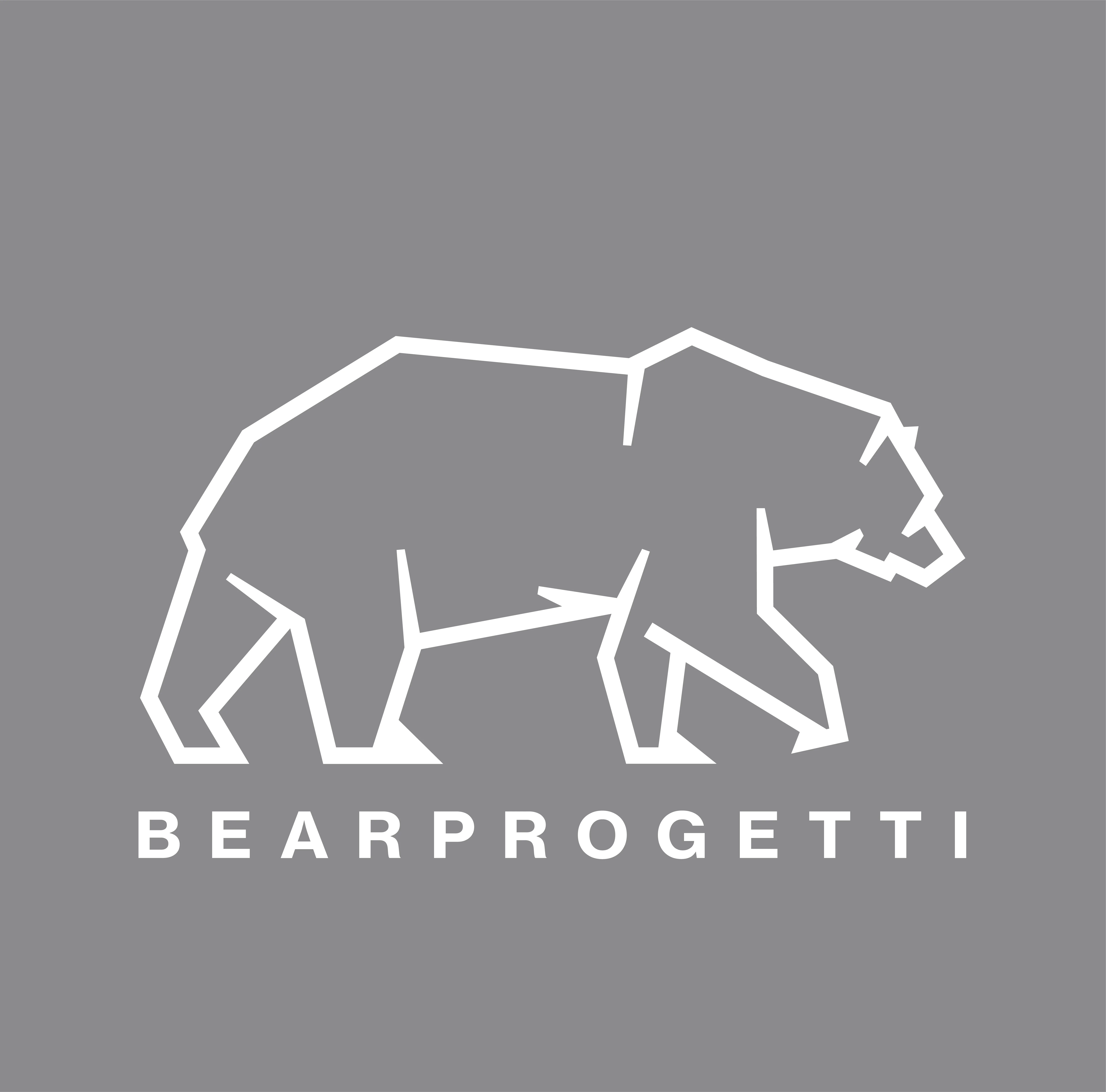 Logo BEARPROGETTI